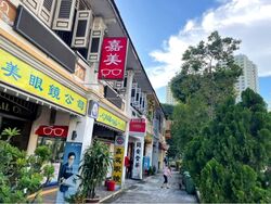 Eng Hoon Street (D3), Shop House #567460641